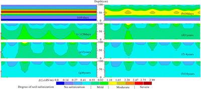 Interaction Between Brackish Water Intermittent Infiltration and Cultivated Soil Environment: A Case Study From Arid Piedmont Plain of Northwest China